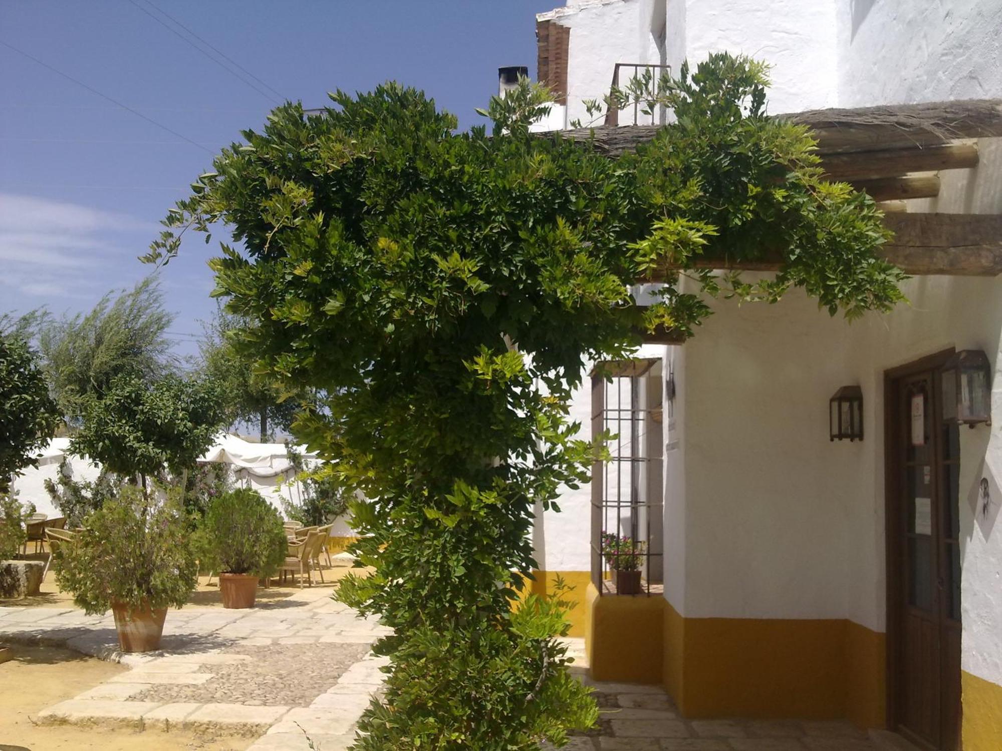 Posada De Jose Mª El Tempranillo Alameda Exteriér fotografie